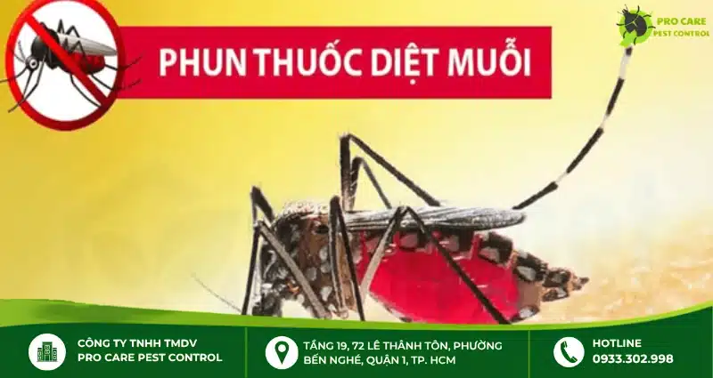 Lưu ý khi sử dụng thuốc xịt muỗi trong nhà