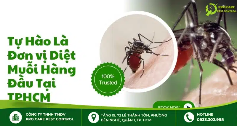 Sử dụng dịch vụ phun diệt muỗi chuyên nghiệp