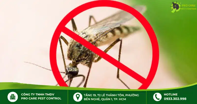 Tiêu chí chọn thuốc xịt muỗi trong phòng
