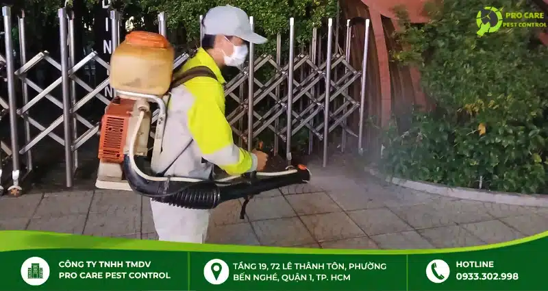 Giải pháp kiểm soát muỗi chuyên nghiệp