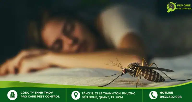 Muỗi xuất hiện trong phòng ngủ