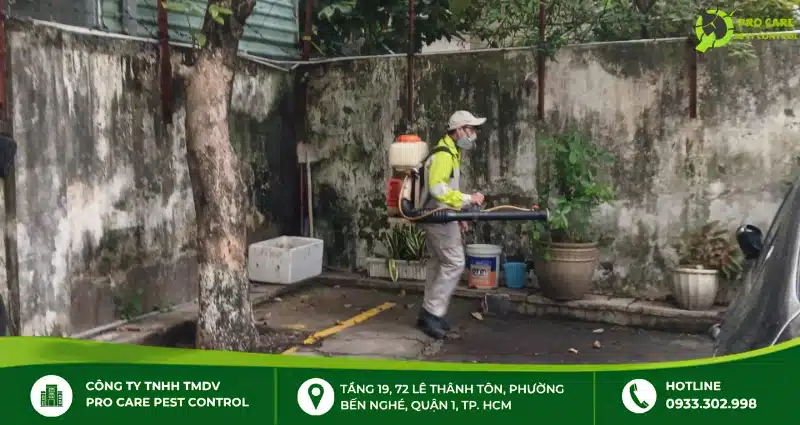 Giải pháp kiểm soát muỗi chuyên nghiệp