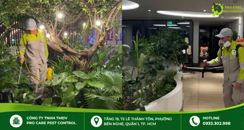 Dịch vụ phun diệt muỗi tại Pro Care Pest Control