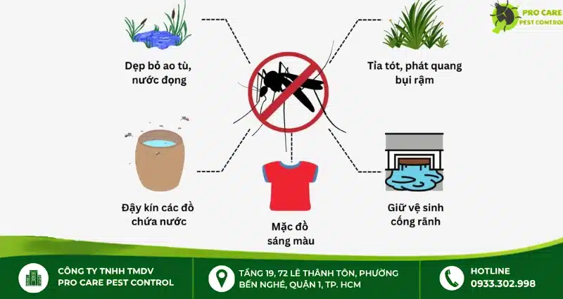 Cách phòng muỗi hiệu quả