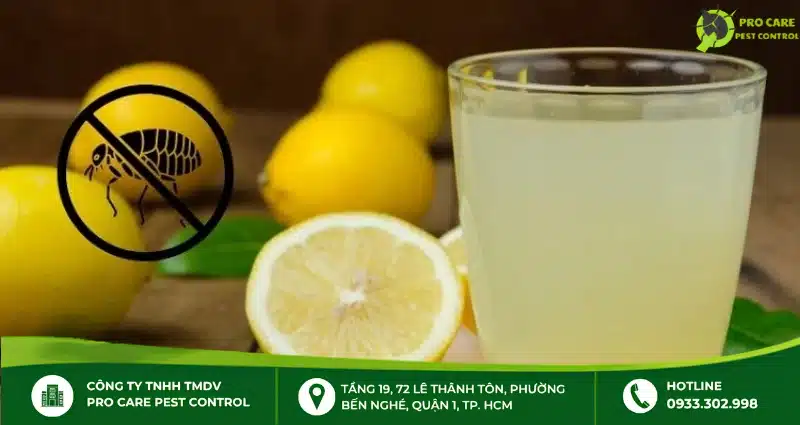 Sử dụng vỏ chanh tươi diệt bọ chét trong nhà