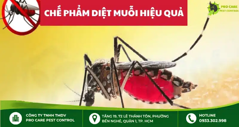 Chế phẩm diệt muỗi an toàn, hiệu quả cho gia đình