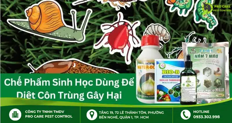 Chế phẩm sinh học diệt côn trùng là gì? Top 3 chế phẩm
