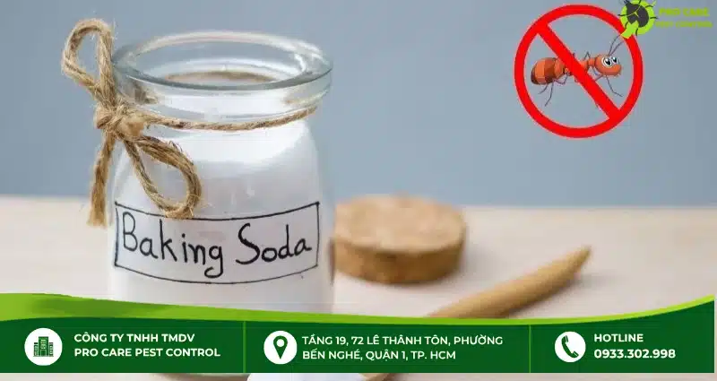 Chống kiến bằng cách dùng baking soda kết hợp đường