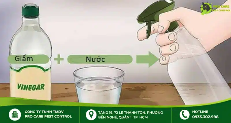 Sử dụng giấm ăn chống kiến