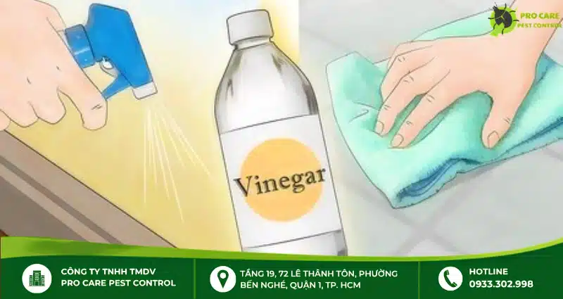 Cách sử dụng thuốc xịt chống kiến ba khoang