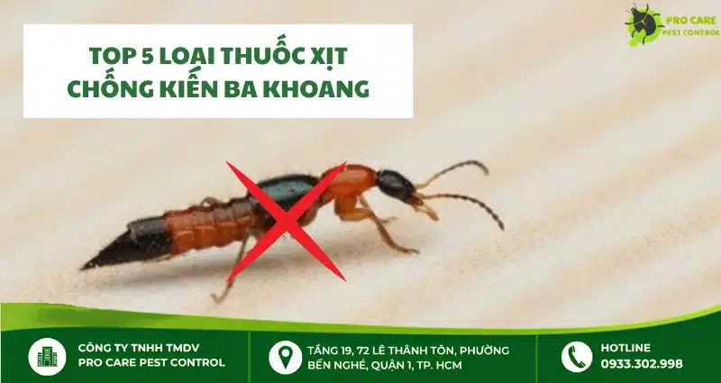 Chống kiến ba khoang: Top 5 loại thuốc xịt và cách sử dụng đúng