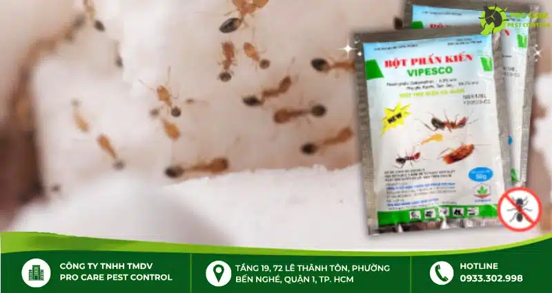 Phấn kiến Vipesco chống kiến hiệu quả