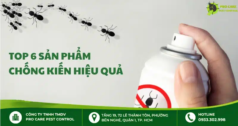 Top 6 sản phẩm chống kiến hiệu quả, dễ sử dụng tại nhà