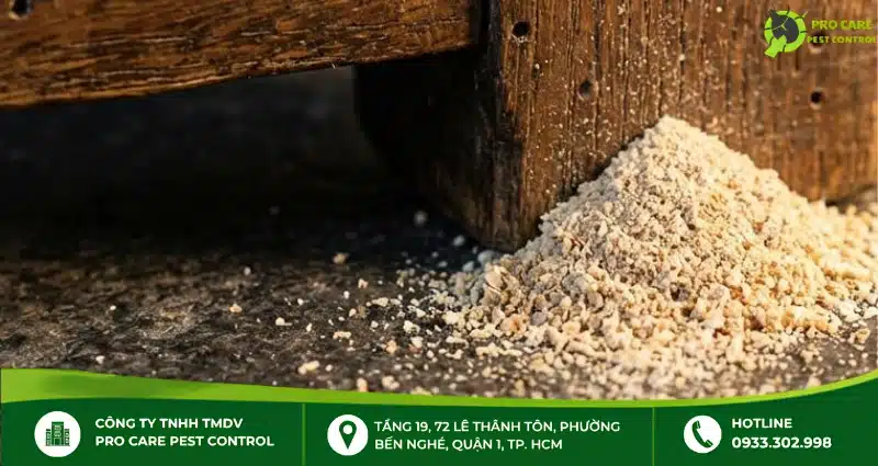 Thay thế hoặc loại bỏ phần gỗ bị hư hại