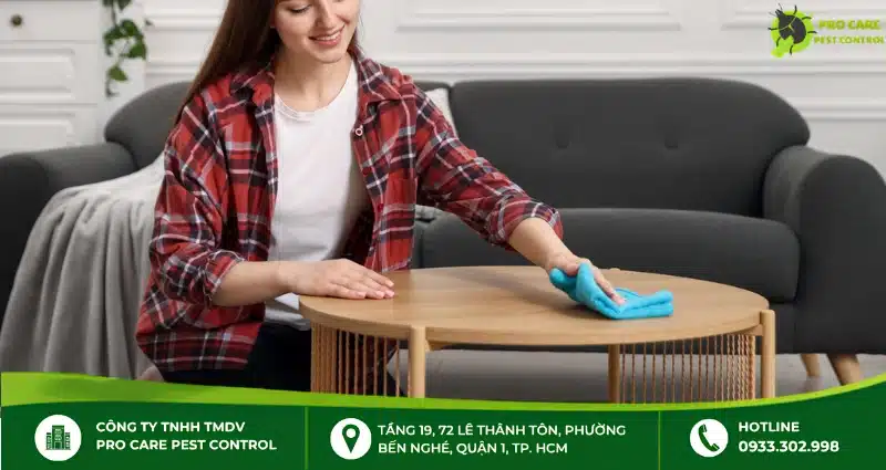 Lau chùi đồ gỗ thường xuyên để hỗ trợ phòng ngừa mọt