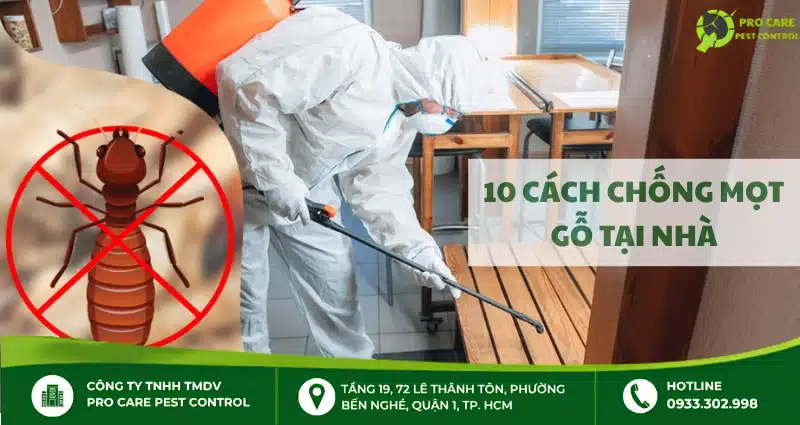10 cách chống mọt gỗ an toàn, hiệu quả triệt để tại nhà