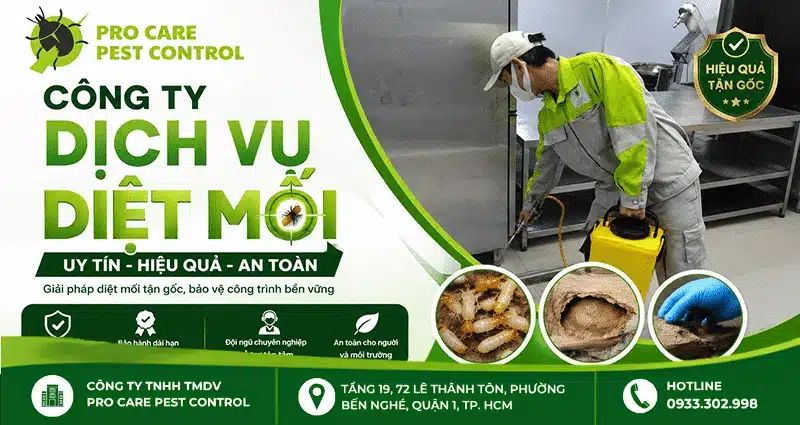 Pro Care Pest Control diệt mối chuyên nghiệp