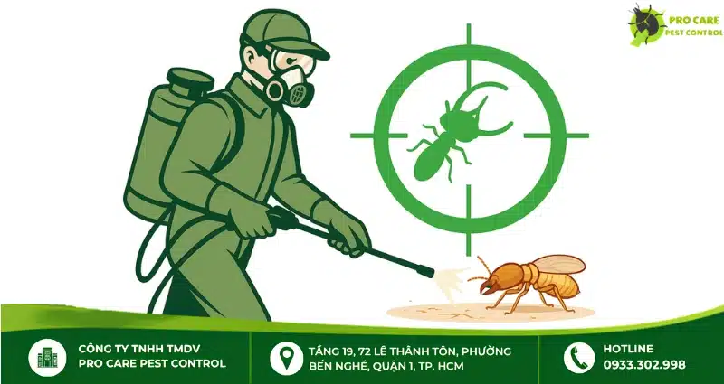 Công ty chuyên diệt mối uy tín tại TP.HCM