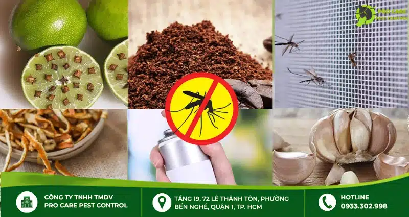 Cách phòng muỗi trong nhà