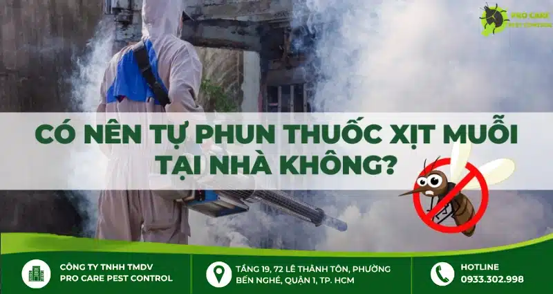 Có nên phun thuốc muỗi trong nhà không? Những điều cần biết