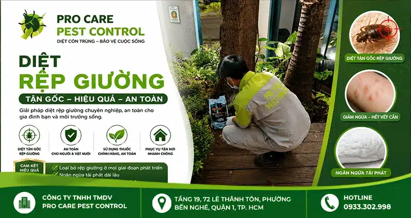 Dịch vụ diệt rệp giường chuyên nghiệp