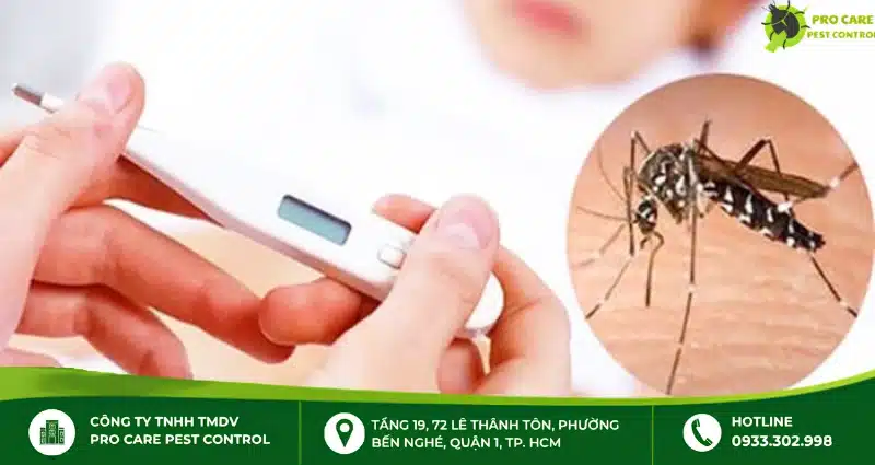 Muỗi – Côn trùng hút máu và truyền bệnh