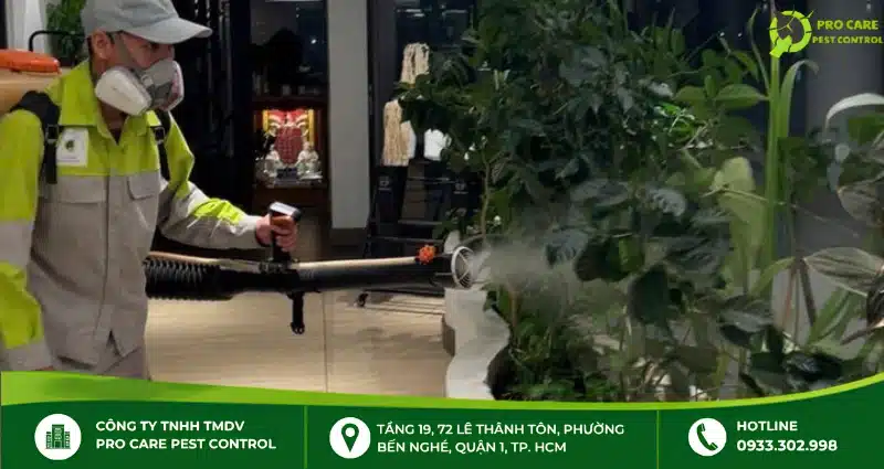 Pro Care Pest Control là công ty chống mối hàng đầu