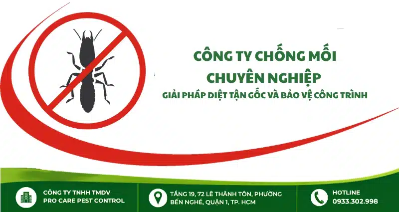 Công ty chống mối chuyên nghiệp – Giải pháp diệt tận gốc và bảo vệ công trình