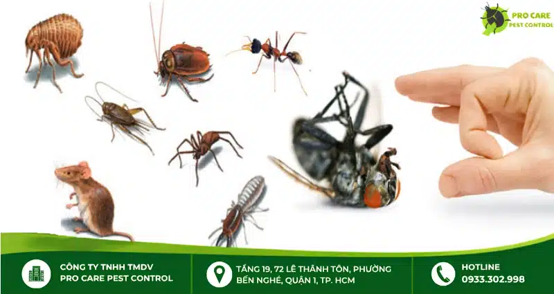 Công ty dịch vụ diệt côn trùng