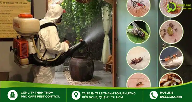 Sử dụng công ty dịch vụ diệt côn trùng