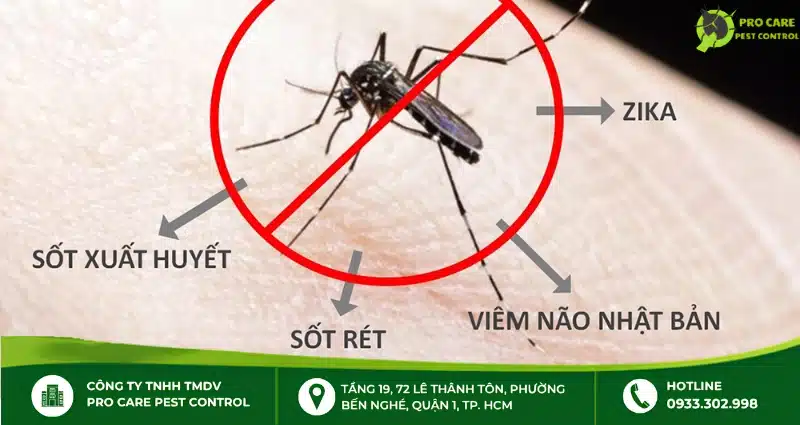 Mối nguy hại từ muỗi