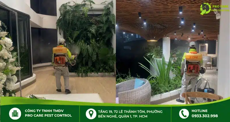 Quy trình diệt muỗi tại Pro Care Pest Control