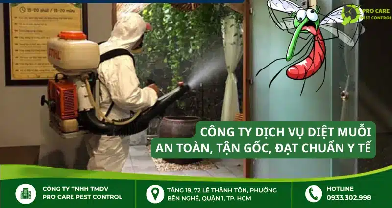 Công ty dịch vụ diệt muỗi – An toàn, tận gốc, đạt chuẩn Y tế