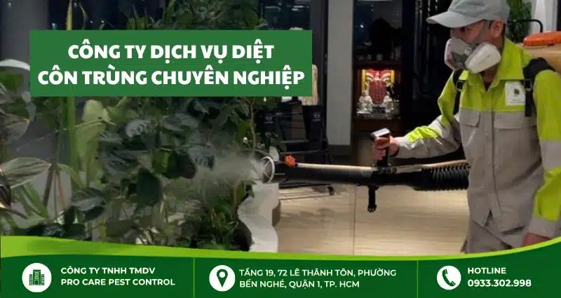 Công ty dịch vụ diệt côn trùng chuyên nghiệp - Pro Care Pest Control