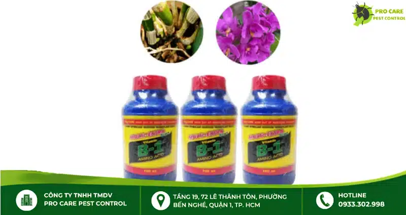 Chế phẩm diệt kiến cho lan B1 TÂY NGUYÊN