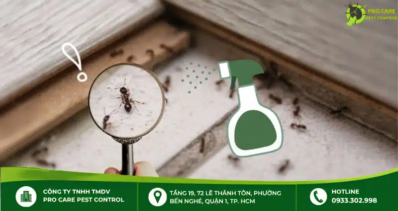 Nguyên tắc sử dụng thuốc diệt kiến an toàn