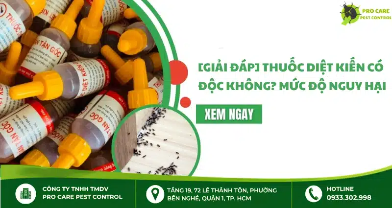 Thuốc diệt kiến có độc không? Mức độ nguy hại và cách sử dụng an toàn
