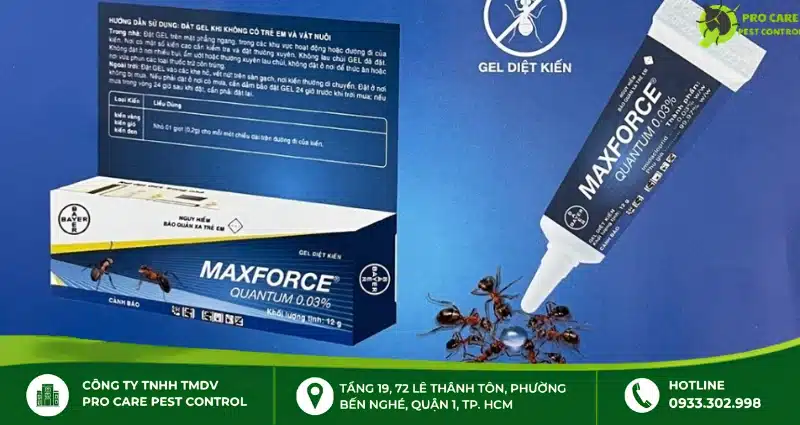 Thuốc diệt kiến Maxforce: Đặc điểm, công dụng và lưu ý khi sử dụng
