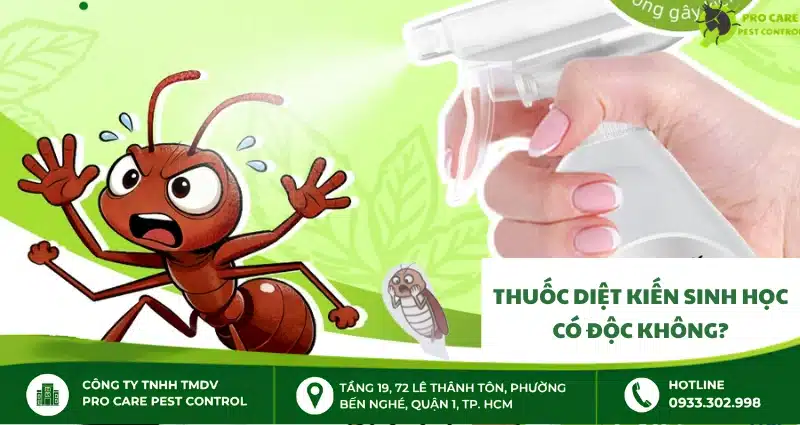 Thuốc diệt kiến sinh học có độc không? Những điều bạn cần biết
