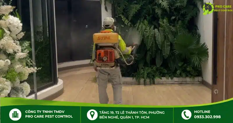 Thuốc xịt muỗi có hại cho cây không? Cách sử dụng an toàn