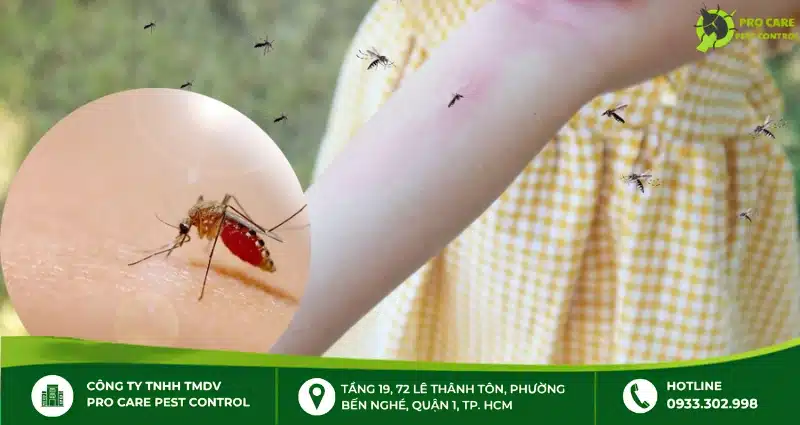 Xịt muỗi có hại không đối với sức khỏe?