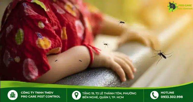 Xịt muỗi trong nhà nhưng vẫn không kiểm soát được muỗi
