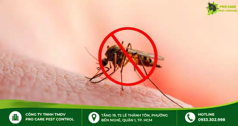 Yếu tố ảnh hưởng đến độ an toàn khi xịt muỗi tại nhà